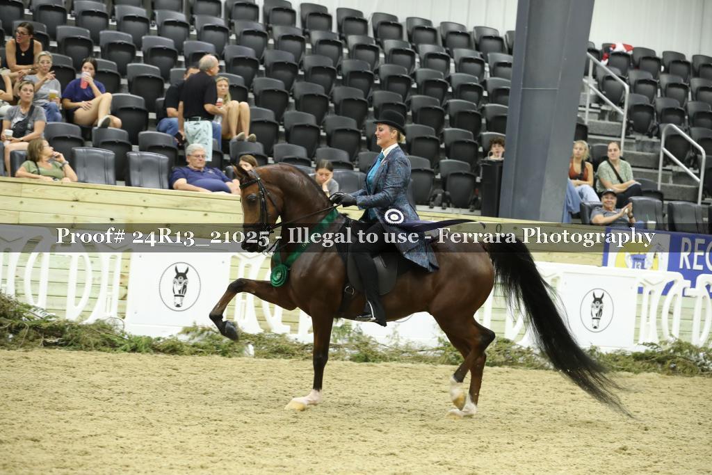 Proof 24R13_21025
