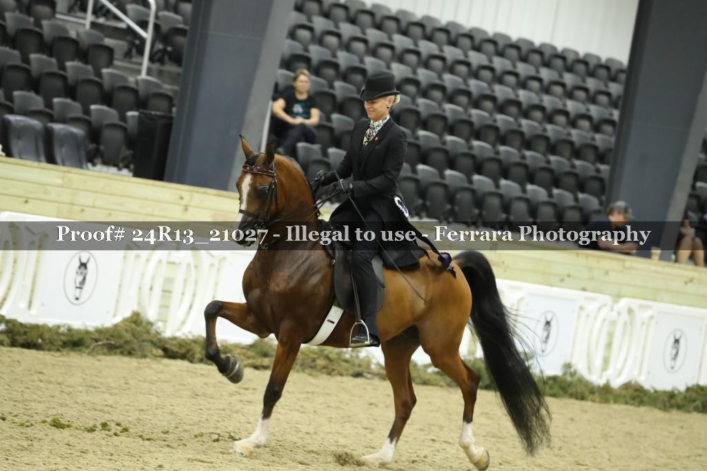 Proof 24R13_21027