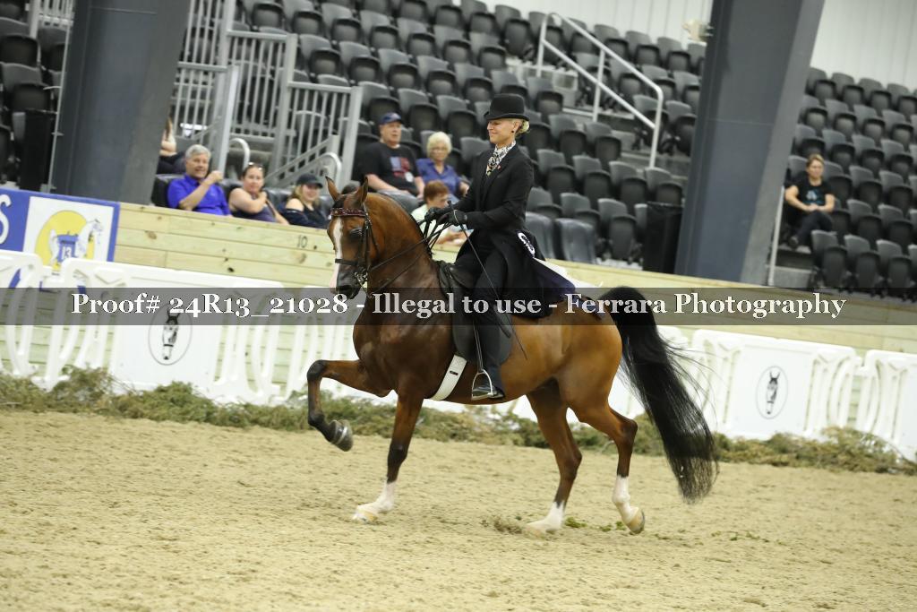 Proof 24R13_21028