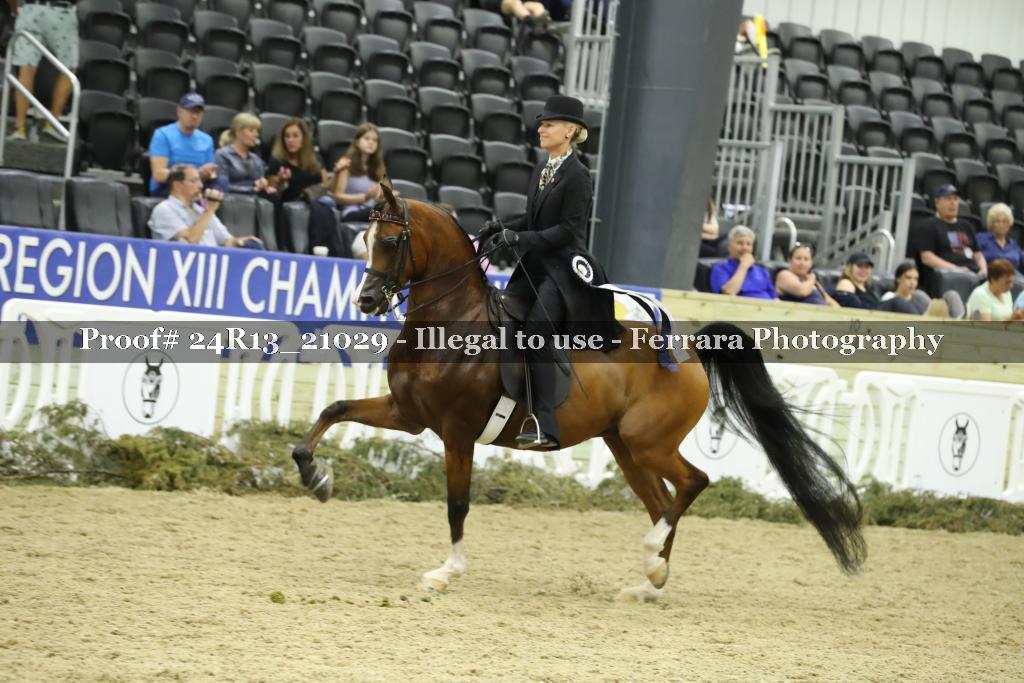 Proof 24R13_21029