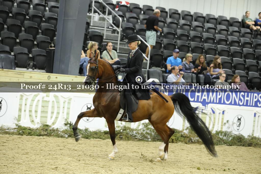 Proof 24R13_21030