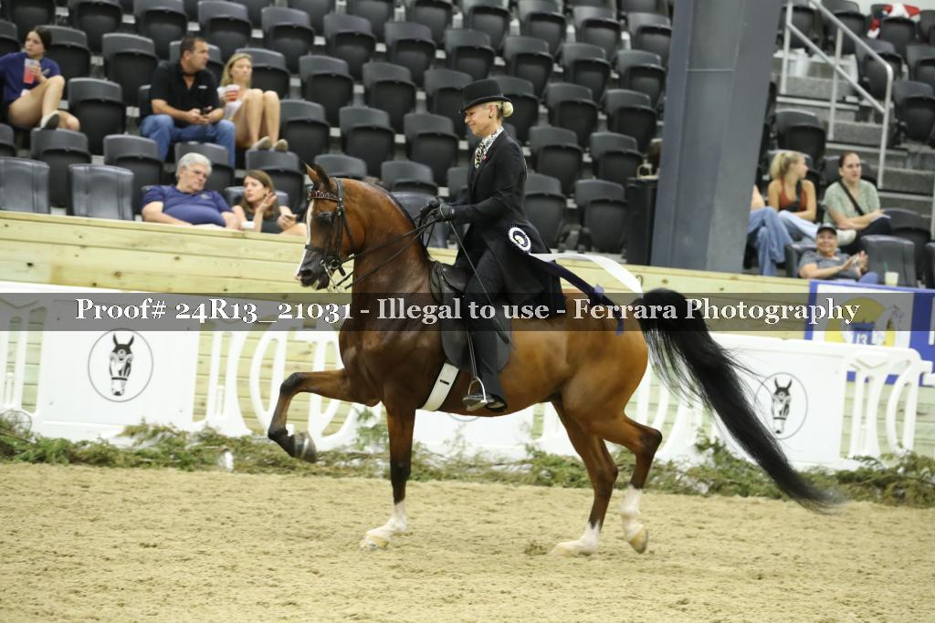 Proof 24R13_21031