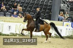 24R13_21031 proof