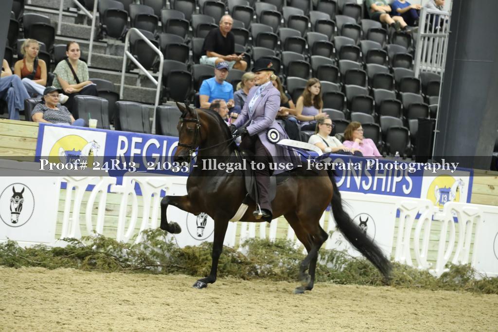 Proof 24R13_21033