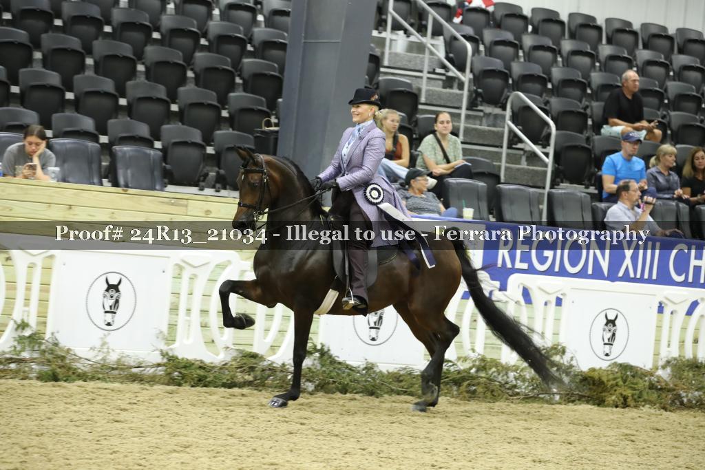 Proof 24R13_21034