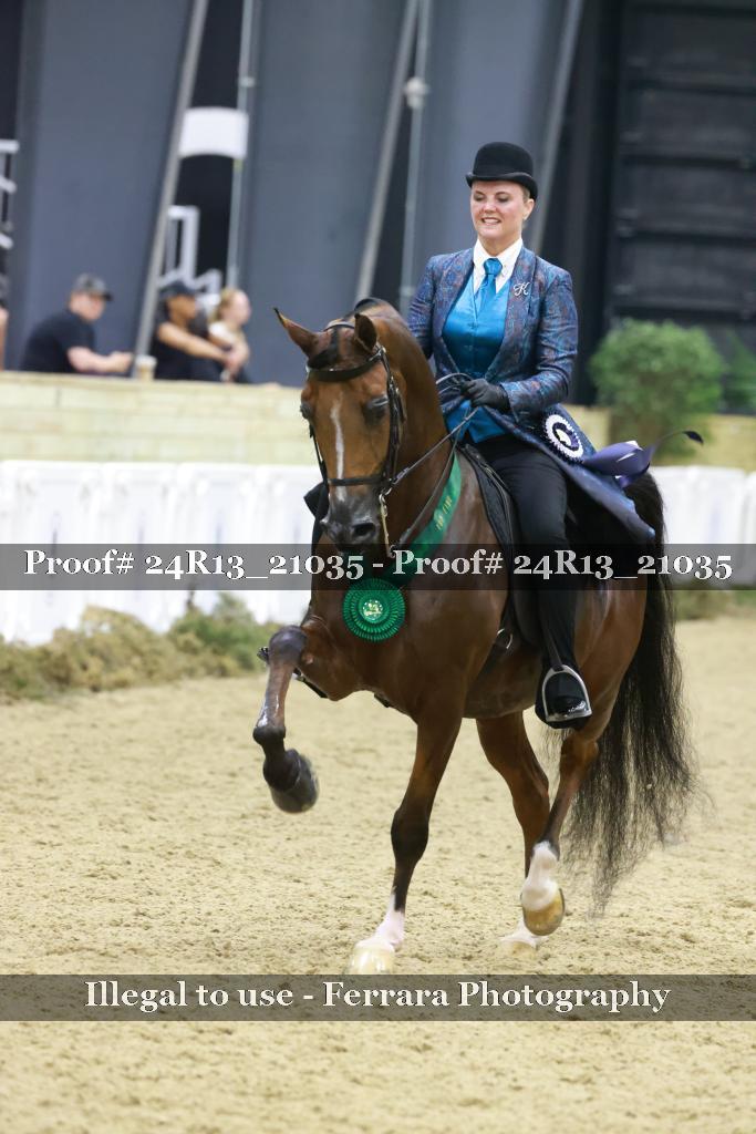 Proof 24R13_21035