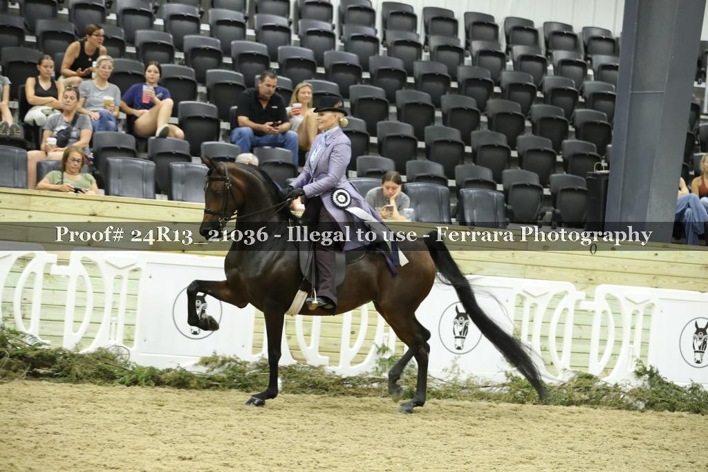 Proof 24R13_21036