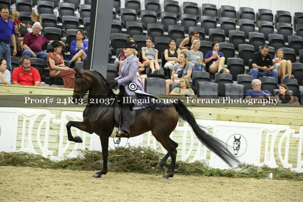 Proof 24R13_21037