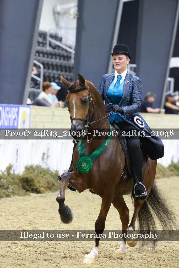 Proof 24R13_21038