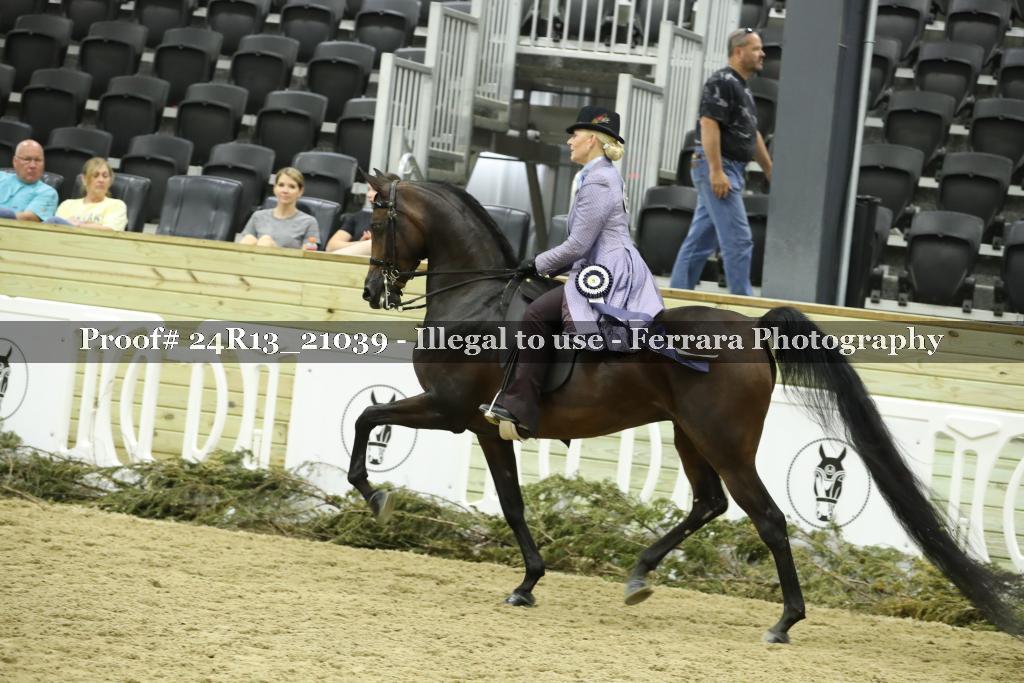 Proof 24R13_21039