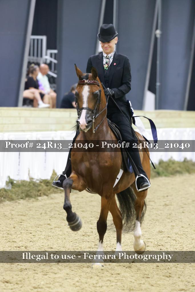 Proof 24R13_21040