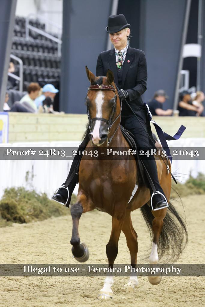 Proof 24R13_21043