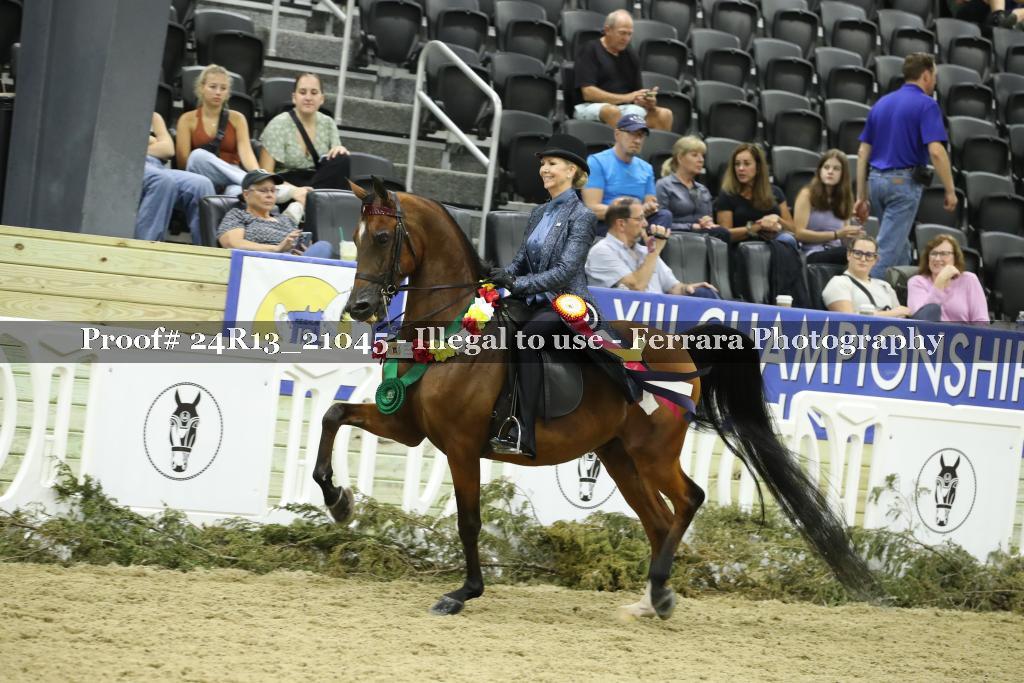 Proof 24R13_21045