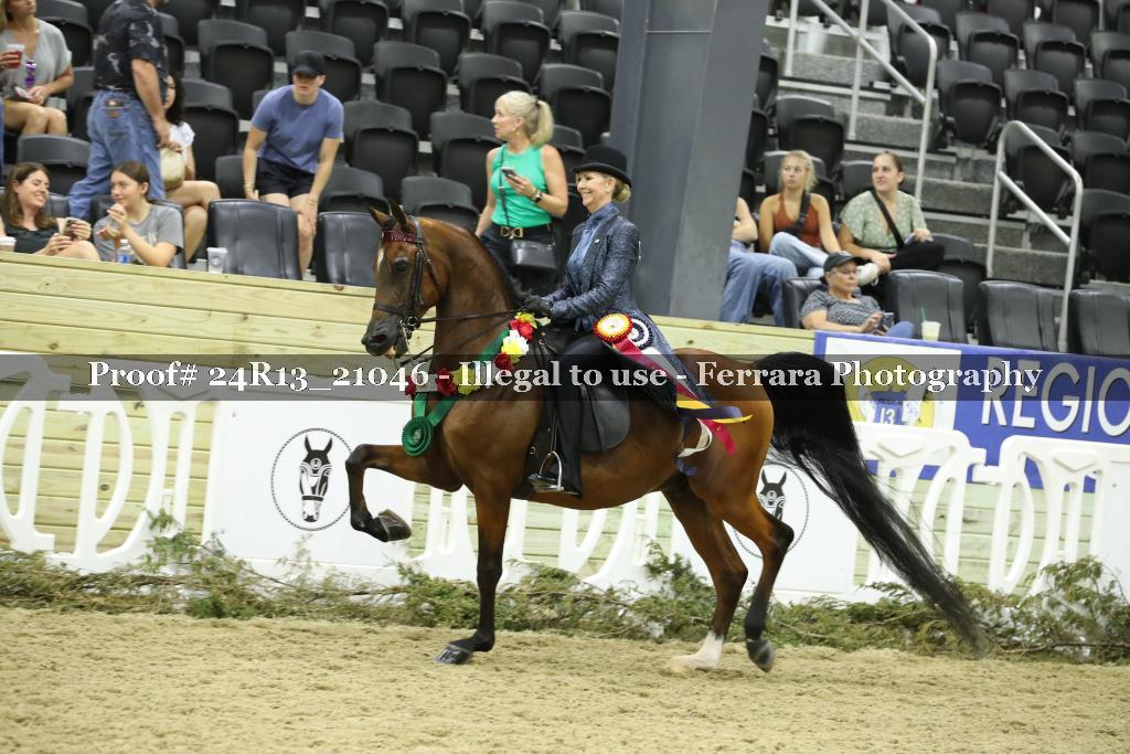 Proof 24R13_21046