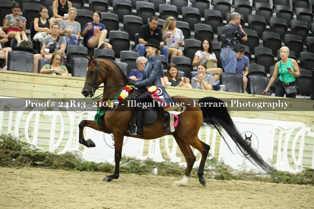Proof 24R13_21047