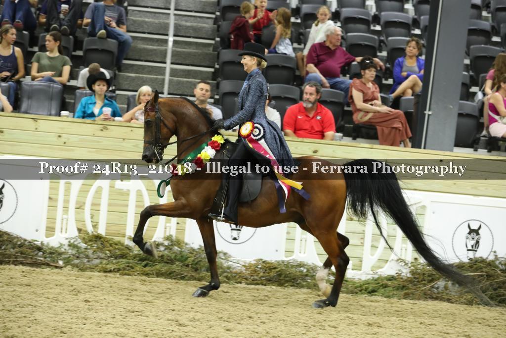 Proof 24R13_21048