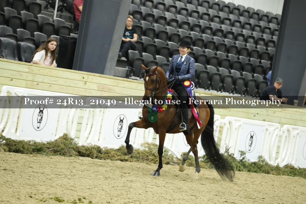 Proof 24R13_21049