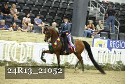24R13_21052 proof