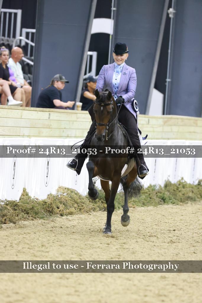 Proof 24R13_21053