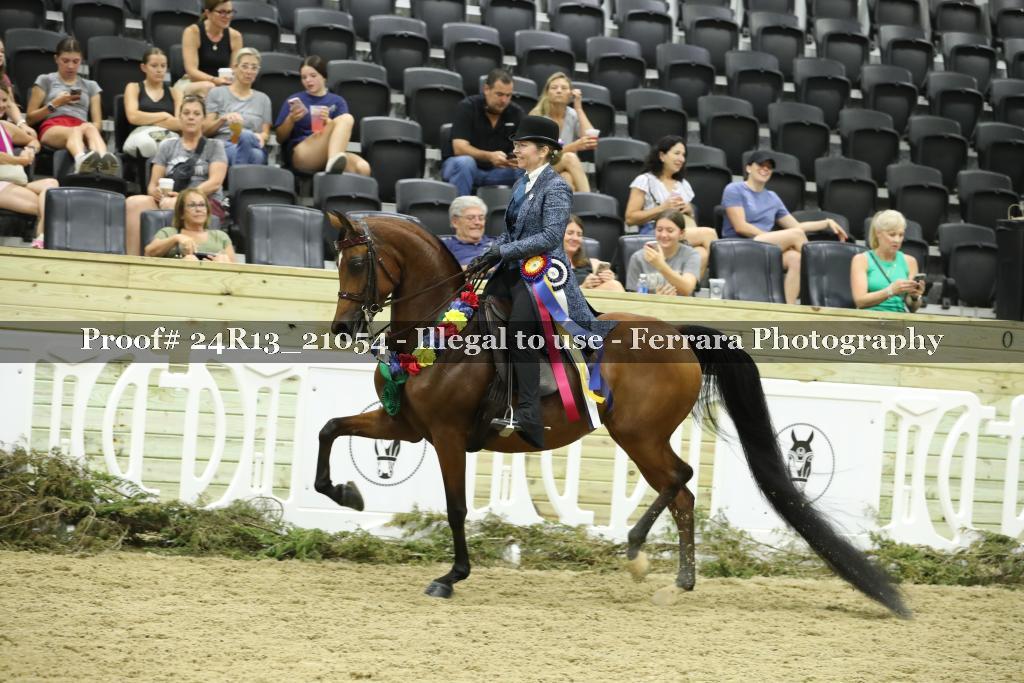 Proof 24R13_21054