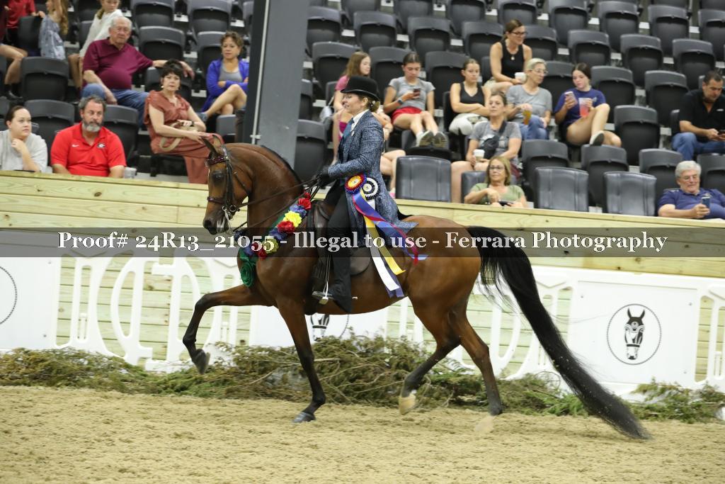 Proof 24R13_21055