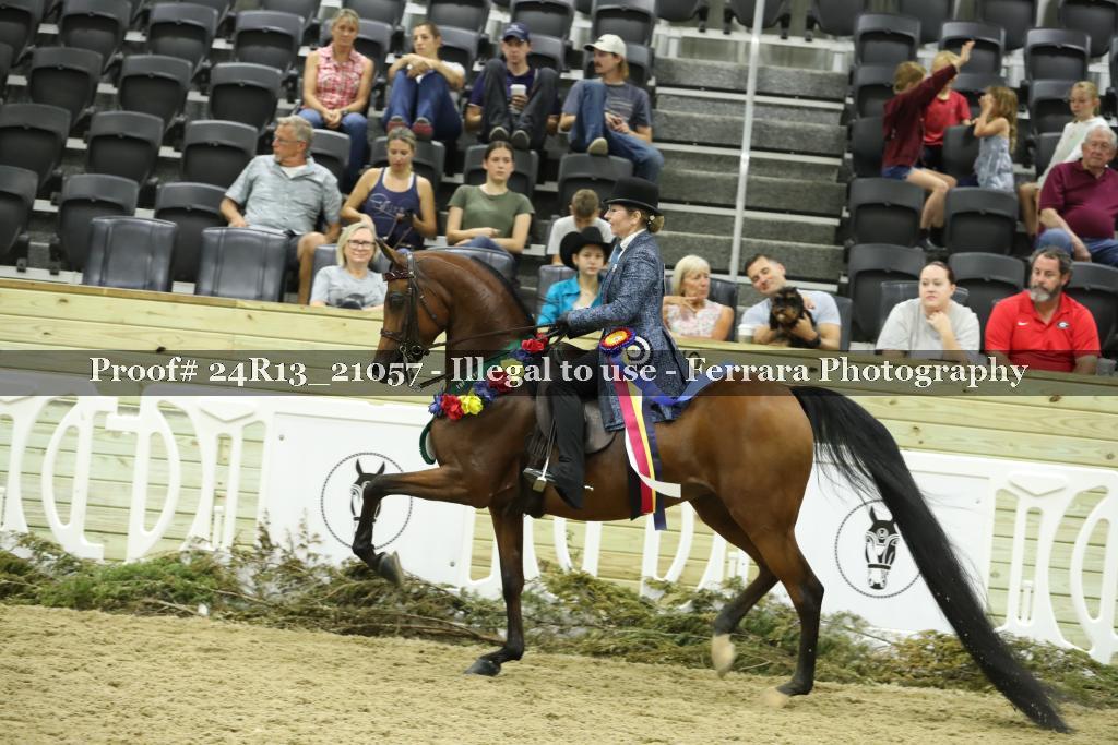 Proof 24R13_21057
