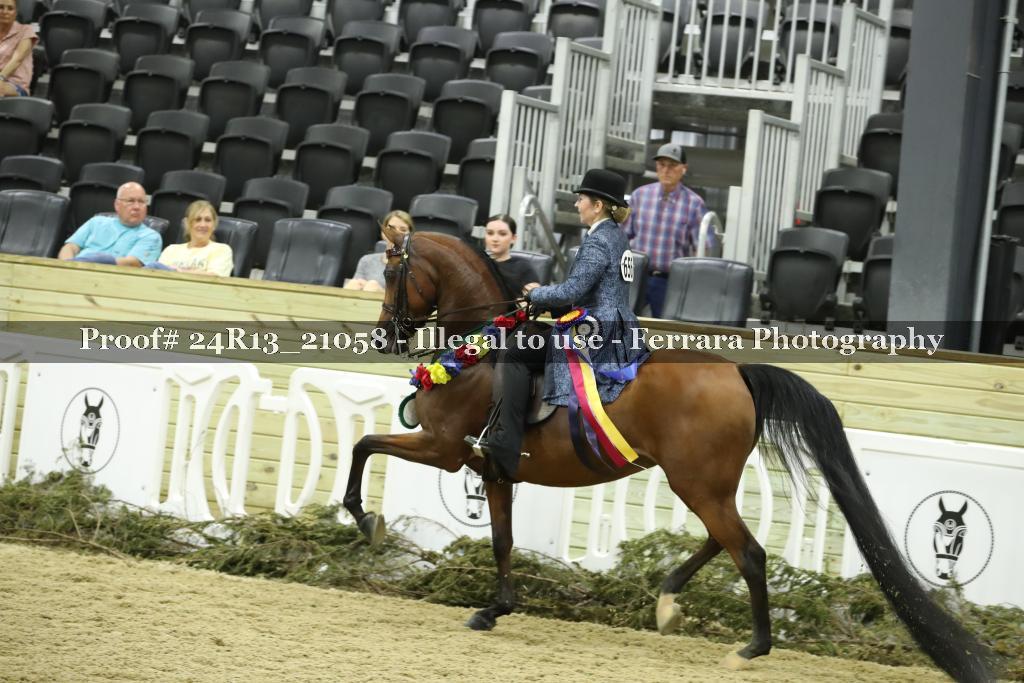 Proof 24R13_21058