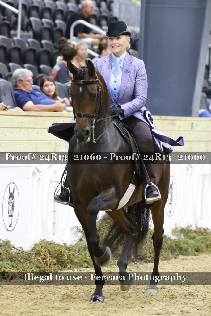 Proof 24R13_21060