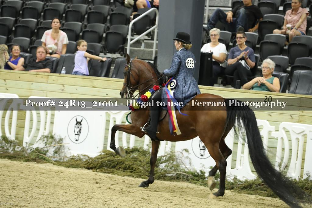 Proof 24R13_21061