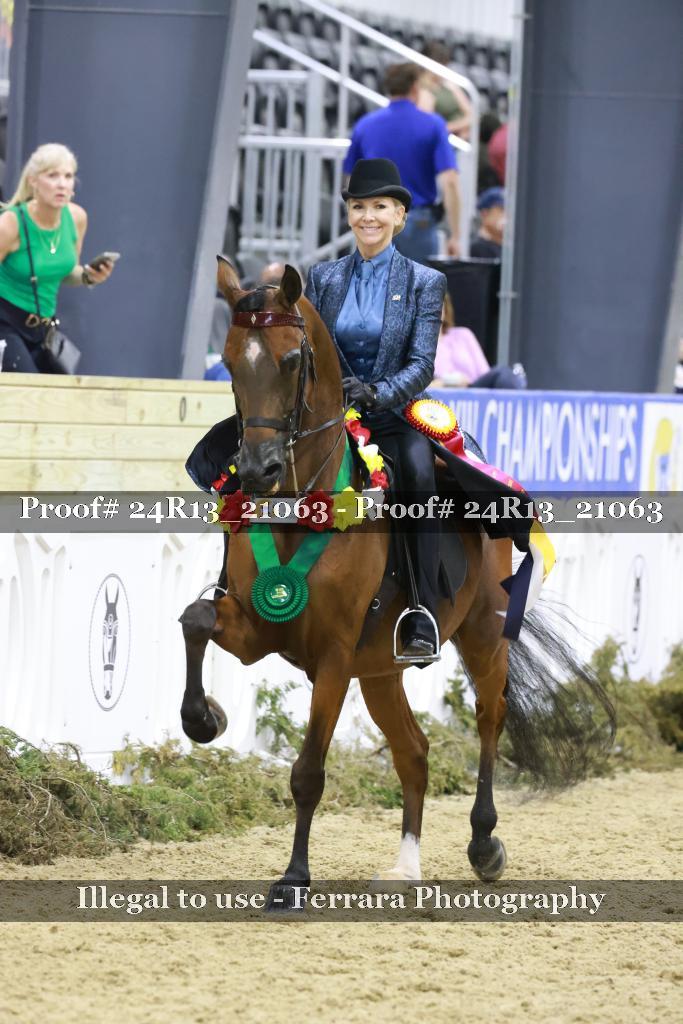 Proof 24R13_21063