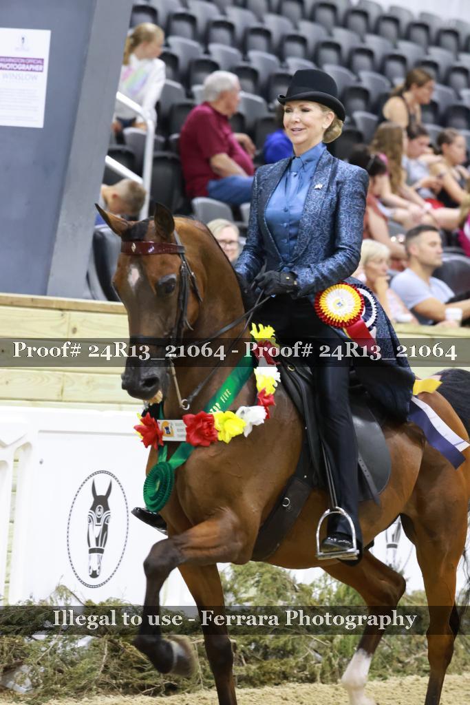 Proof 24R13_21064