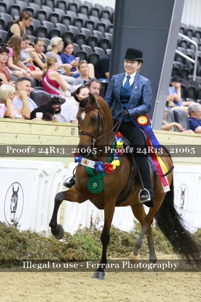 Proof 24R13_21065