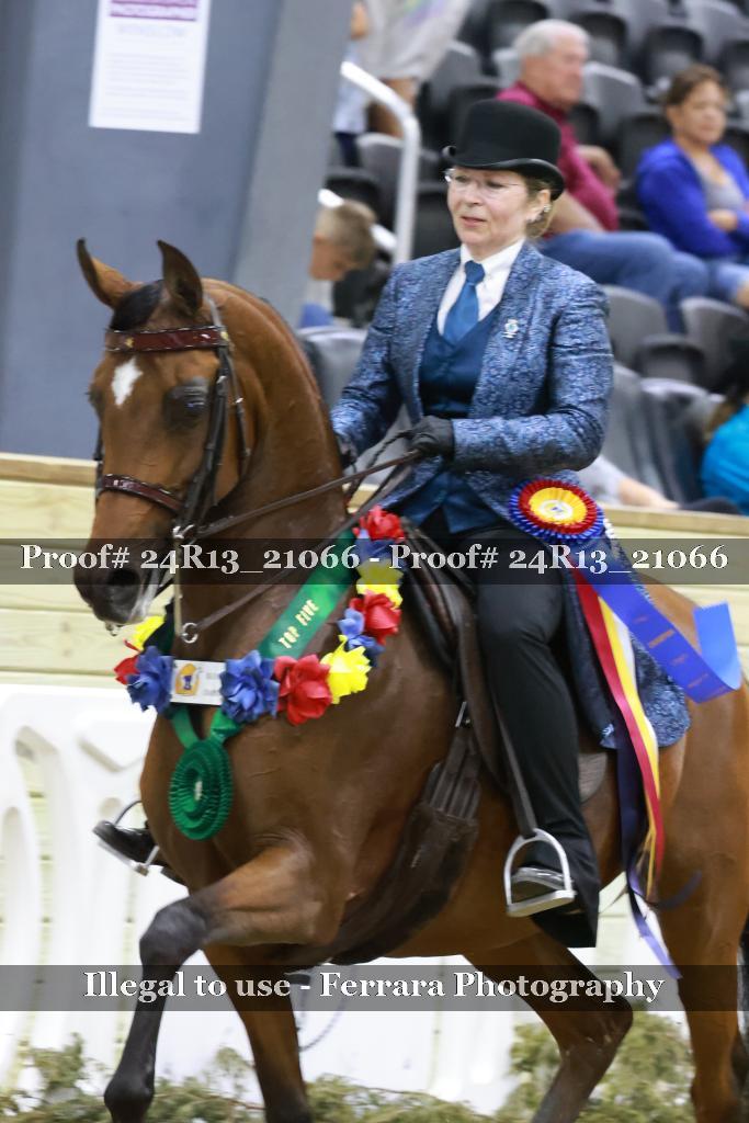 Proof 24R13_21066