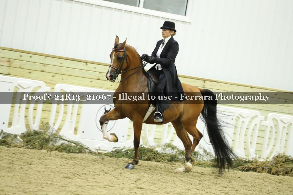 Proof 24R13_21067
