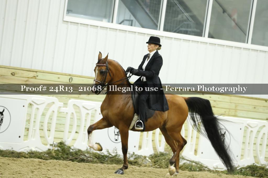 Proof 24R13_21068