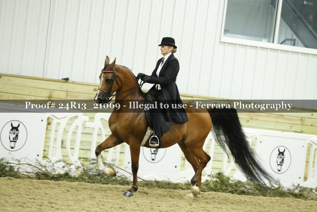 Proof 24R13_21069