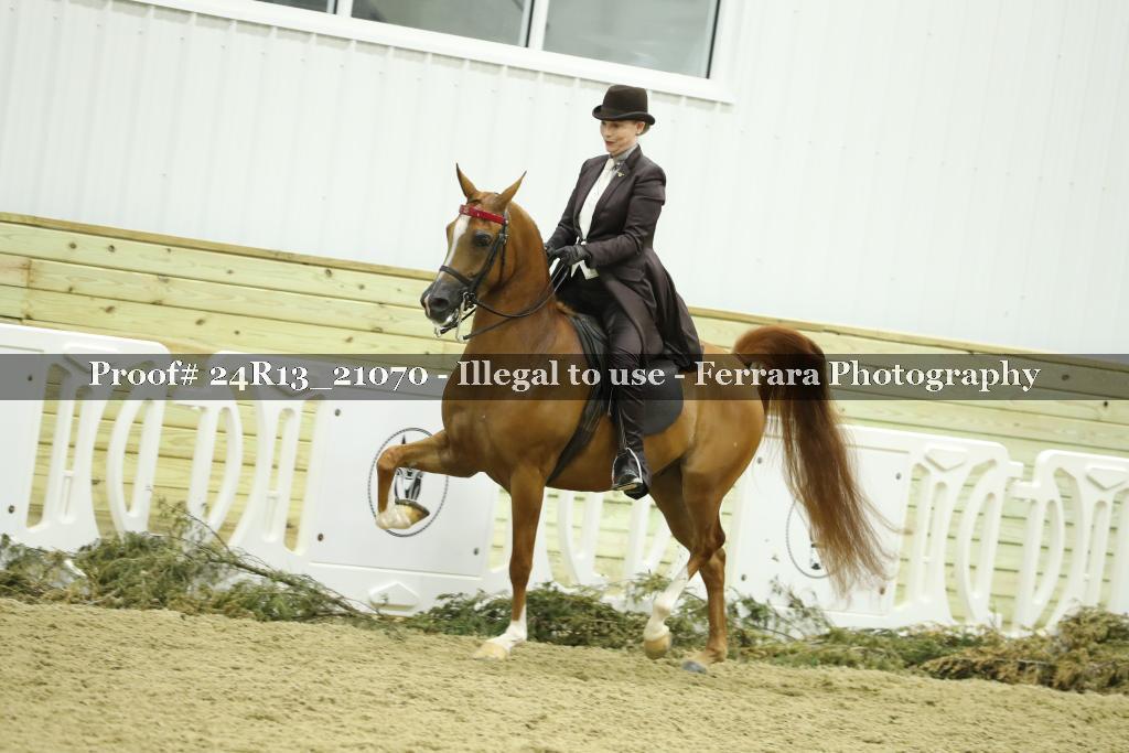 Proof 24R13_21070