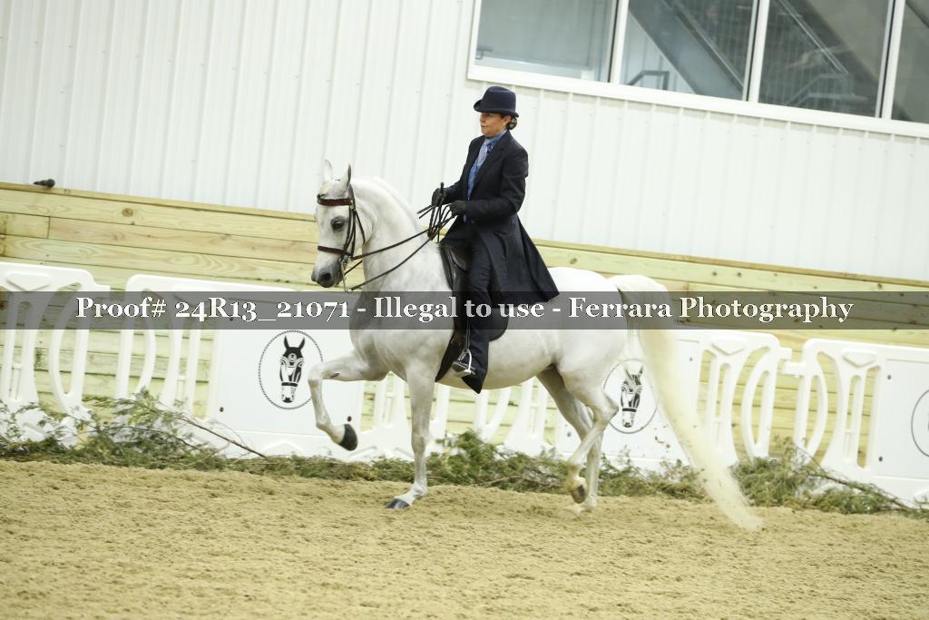 Proof 24R13_21071