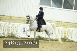 24R13_21071 proof