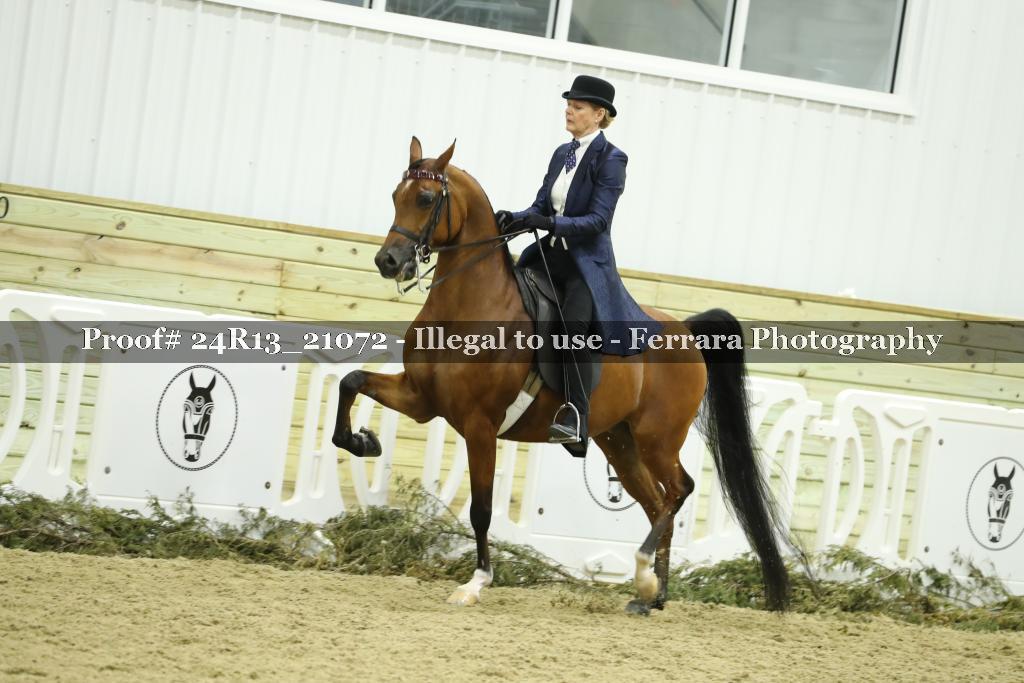 Proof 24R13_21072