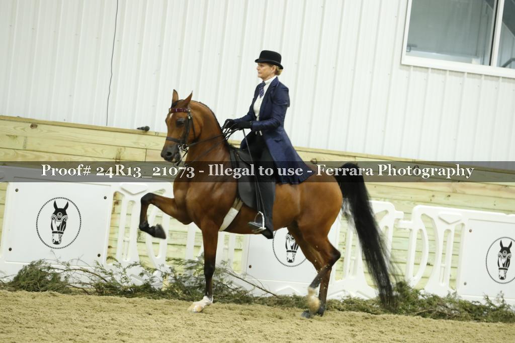 Proof 24R13_21073