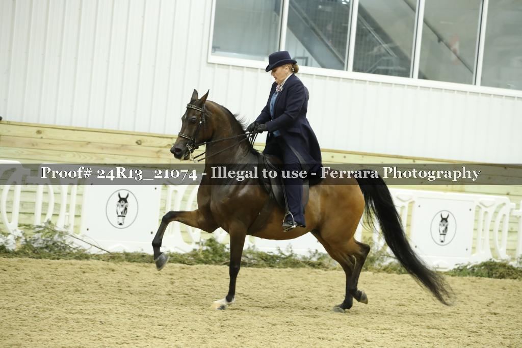 Proof 24R13_21074
