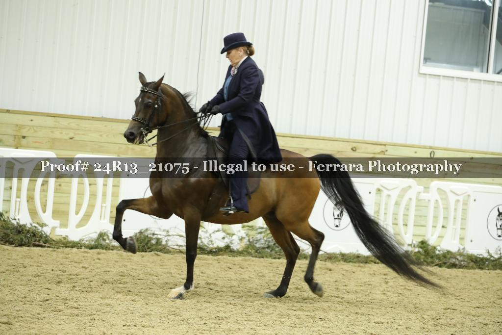 Proof 24R13_21075