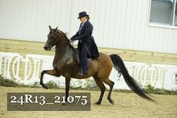 24R13_21075 proof