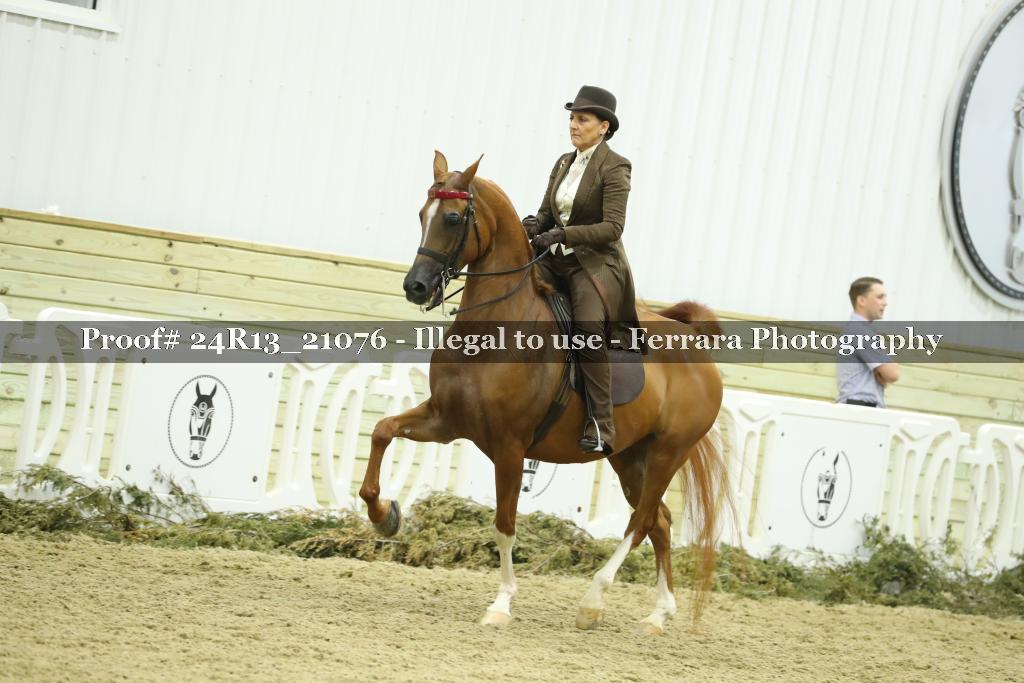Proof 24R13_21076
