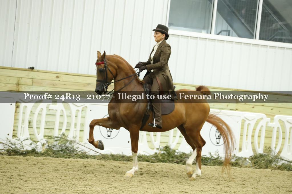 Proof 24R13_21077
