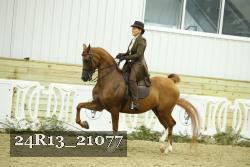 24R13_21077 proof
