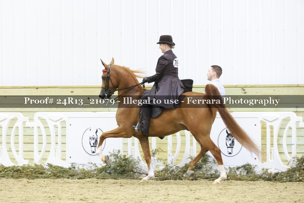 Proof 24R13_21079