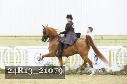 24R13_21079 proof