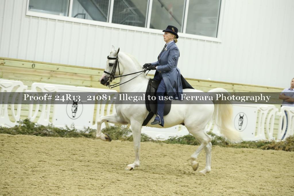 Proof 24R13_21081